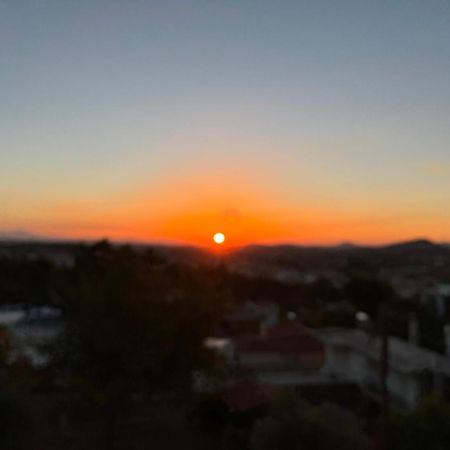 Panorama Γλυκά Νερά - Athens Apartman Kültér fotó