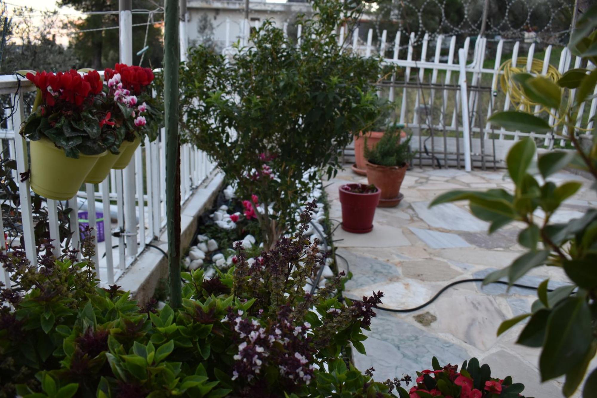Panorama Γλυκά Νερά - Athens Apartman Kültér fotó
